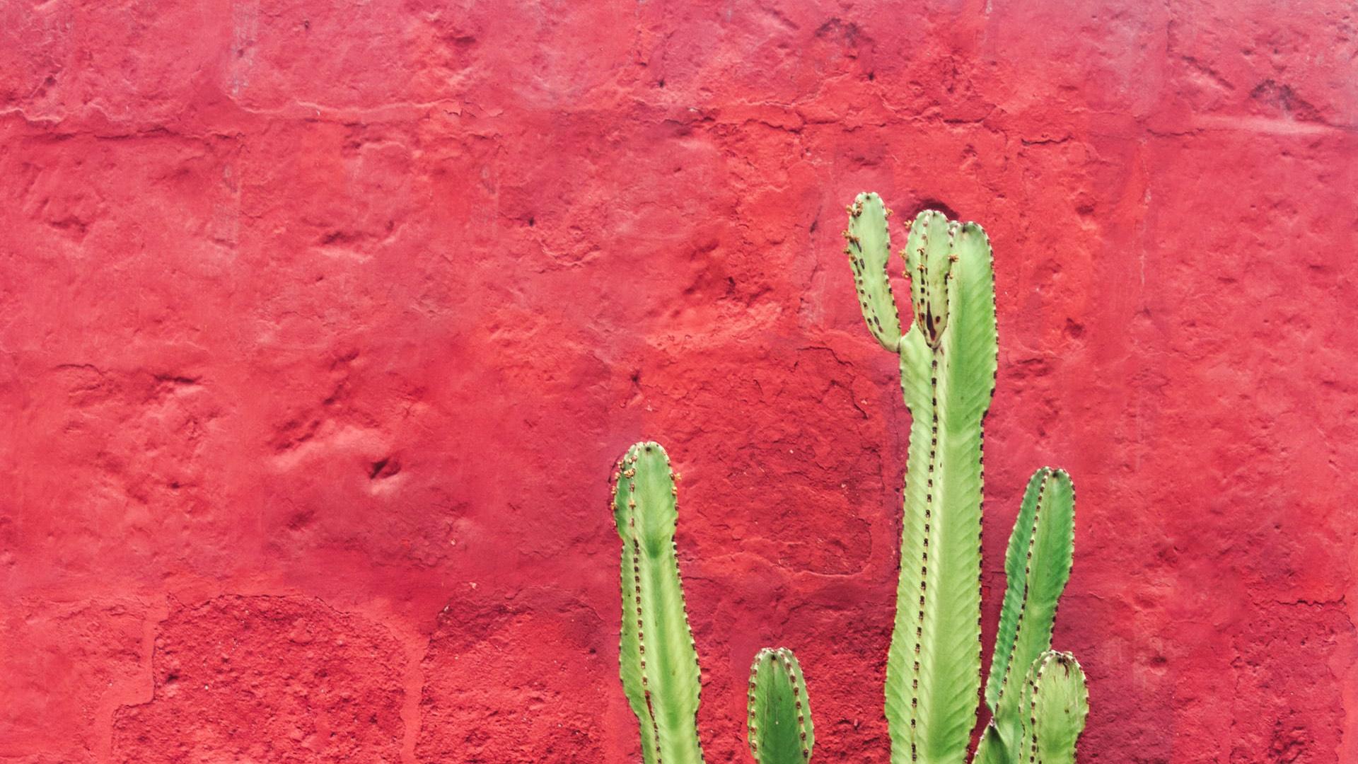 From Search Analytics to Search Insights – Part 1