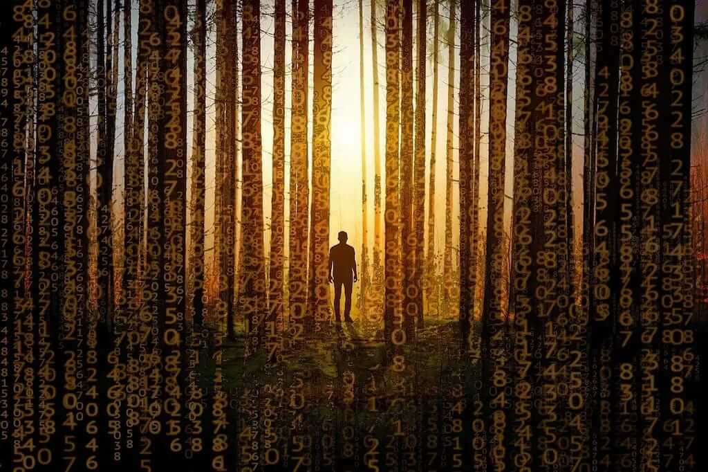 Sustainable Development for ecommerce site search